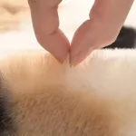 accessoire de salle de bain vache
